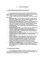 Referāts 'Reklāmas kampaņas veidošana', 4.