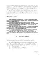 Referāts 'Reklāmas kampaņas veidošana', 6.