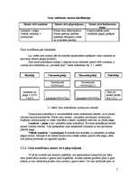 Referāts 'Reklāmas kampaņas veidošana', 7.