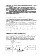 Referāts 'Reklāmas kampaņas veidošana', 8.