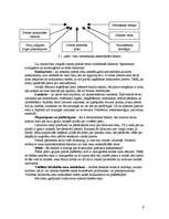 Referāts 'Reklāmas kampaņas veidošana', 9.