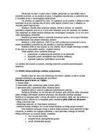 Referāts 'Reklāmas kampaņas veidošana', 11.