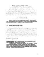 Referāts 'Reklāmas kampaņas veidošana', 12.