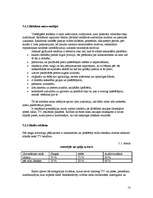 Referāts 'Reklāmas kampaņas veidošana', 13.