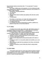 Referāts 'Reklāmas kampaņas veidošana', 14.