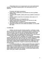 Referāts 'Reklāmas kampaņas veidošana', 15.