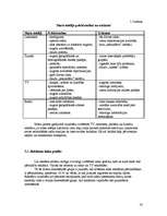 Referāts 'Reklāmas kampaņas veidošana', 16.