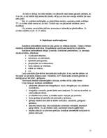 Referāts 'Reklāmas kampaņas veidošana', 17.