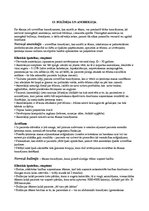 Konspekts 'Portfolio. Ievads sociālajā pedagoģijā', 15.