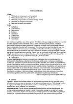 Konspekts 'Portfolio. Ievads sociālajā pedagoģijā', 17.