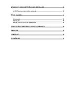 Prakses atskaite 'Jauna produkta ieviešanas stratēģijas attīstība ražošanas uzņēmumā', 8.