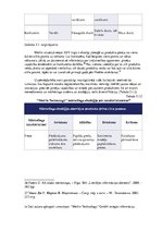 Prakses atskaite 'Jauna produkta ieviešanas stratēģijas attīstība ražošanas uzņēmumā', 26.