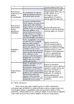 Prakses atskaite 'Jauna produkta ieviešanas stratēģijas attīstība ražošanas uzņēmumā', 33.