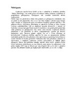 Prakses atskaite 'Jauna produkta ieviešanas stratēģijas attīstība ražošanas uzņēmumā', 36.