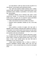 Referāts 'AAS "Seesam" ārējā vide', 7.