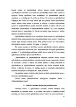 Referāts 'AAS "Seesam" ārējā vide', 15.