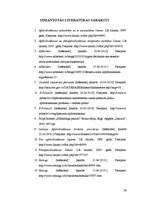 Referāts 'AAS "Seesam" ārējā vide', 26.