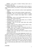 Referāts 'Izziņas procesi', 3.