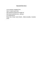 Referāts 'Grafiti', 8.