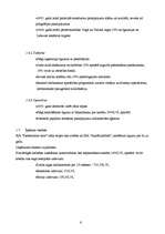 Biznesa plāns 'Reklāmas uzņēmuma biznesa plāns', 6.