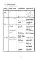 Biznesa plāns 'Reklāmas uzņēmuma biznesa plāns', 8.