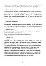 Biznesa plāns 'Reklāmas uzņēmuma biznesa plāns', 22.