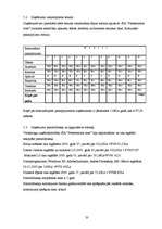 Biznesa plāns 'Reklāmas uzņēmuma biznesa plāns', 33.