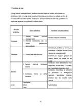 Biznesa plāns 'Reklāmas uzņēmuma biznesa plāns', 41.