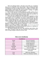 Referāts 'Referāts bioloģijā, meža susurs', 3.