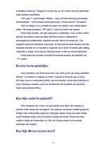 Referāts 'Krusta kari – atbrīvošana vai iekarošana', 6.