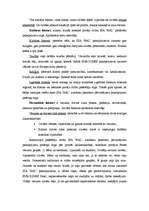 Referāts 'Pircēju rīcības faktori X pakalpojuma patēriņa tirgū', 5.