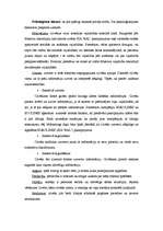 Referāts 'Pircēju rīcības faktori X pakalpojuma patēriņa tirgū', 8.