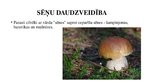 Referāts 'Latvijas sēnes', 4.
