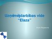 Prezentācija 'Biznesa ideja "Elaza"', 1.