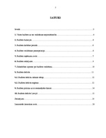 Referāts 'Kādas sekas rada valdības budžeta deficīts?', 2.