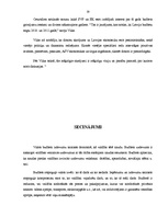 Referāts 'Kādas sekas rada valdības budžeta deficīts?', 19.