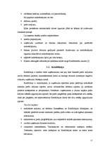 Referāts 'Hansabankas piedāvātie kredītu veidi uzņēmumiem', 17.