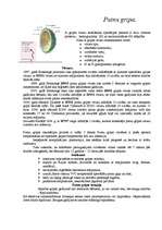 Konspekts 'Putnu gripa', 1.