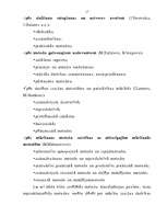 Referāts 'Vitrāžas mācībstunda', 17.