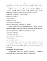 Referāts 'Vitrāžas mācībstunda', 18.