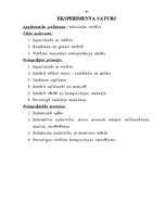 Referāts 'Vitrāžas mācībstunda', 40.