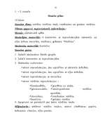 Referāts 'Vitrāžas mācībstunda', 41.