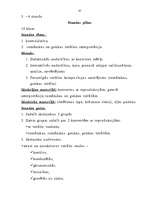 Referāts 'Vitrāžas mācībstunda', 42.