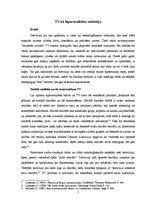 Eseja 'Televīzija kā hiperrealitātes veidotāja', 1.