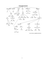 Referāts 'Indo-European Language Group', 8.