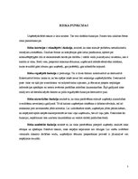 Referāts 'Uzņēmējdarbības riski, to veidi un pārvaldes iespējas', 5.