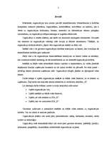 Referāts 'Uzņēmuma "X" iekšējās un ārējās vides raksturojums', 2.