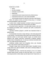 Referāts 'Uzņēmuma "X" iekšējās un ārējās vides raksturojums', 19.