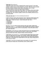 Konspekts 'Rumpja muskuļi', 10.
