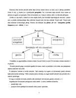Referāts 'Dzīvības izcelšanās un attīstība uz Zemes', 7.